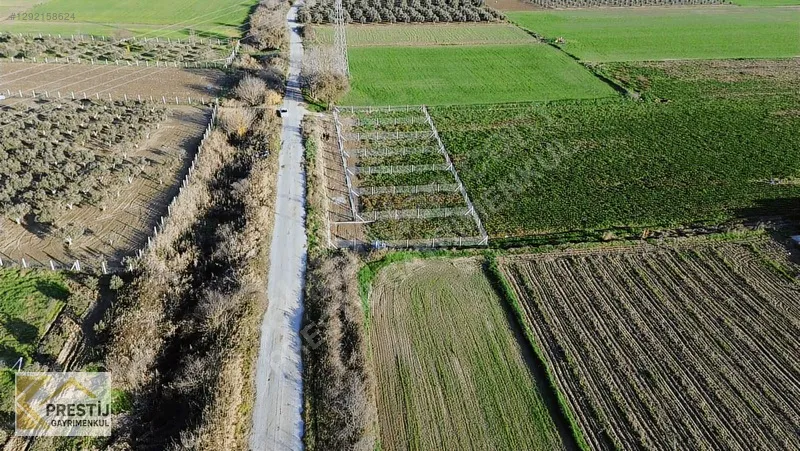 TORBALI ARSLANLAR KÖYÜ RESMİ TAPULU YATIRIM FIRSATI - 2