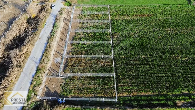 TORBALI ARSLANLAR KÖYÜ RESMİ TAPULU YATIRIM FIRSATI - 5